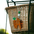 Carrot Initial Wooden Resin Coated Custom Basket Ornament Tag