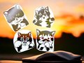 4 Piece Set of Cat Antics variety sizes Cat Face Custom Decal Laptop Cup Auto Window