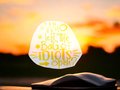Who Left the Bag of Idiots Open Funny Vinyl Yellow Custom Decal Laptop Cup Auto Window