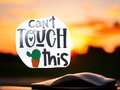 Can't Touch This Cactus Custom Decal Laptop Cup Auto Window Sarcasm