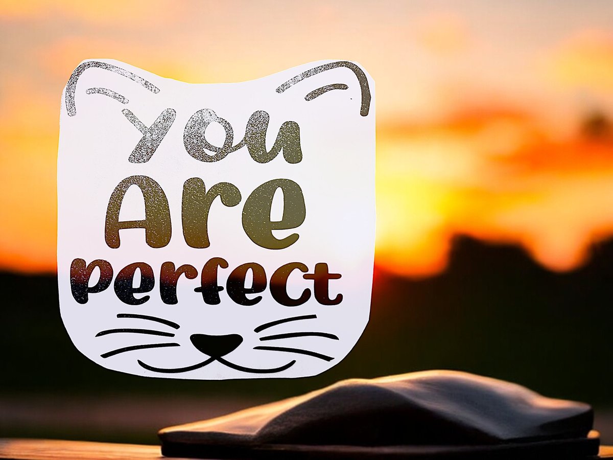 You are Perfect Cat Face Custom Decal Laptop Cup Auto Window