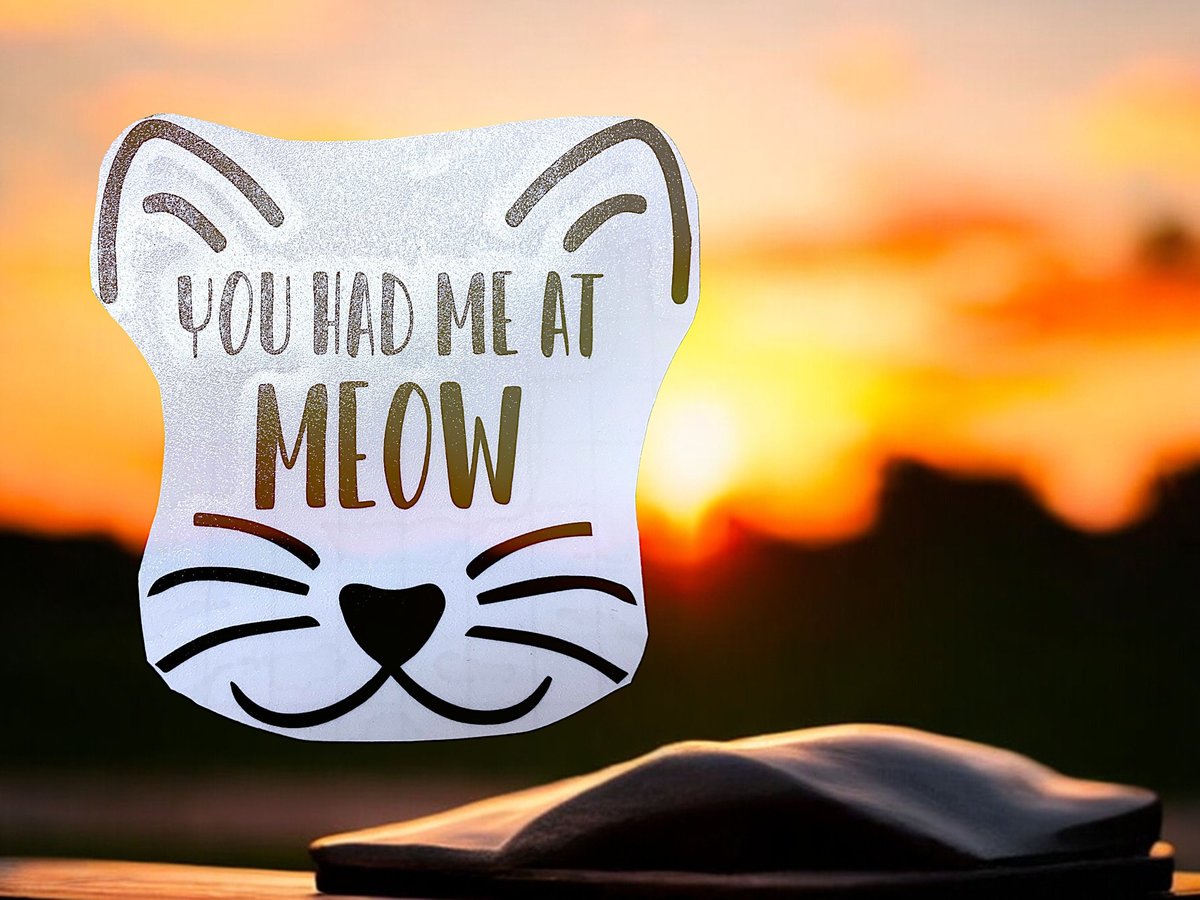 You Had Me at Meow Cat Face Custom Decal Laptop Cup Auto Window